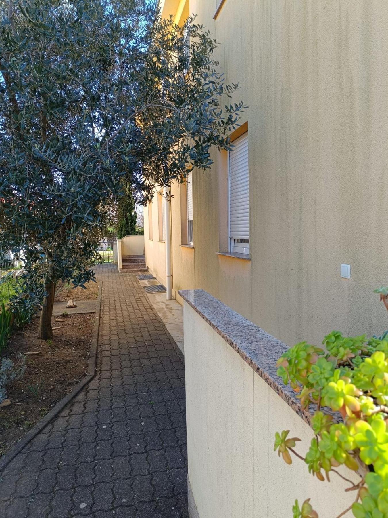 Apartments David - Sabunike Near Nin Privlaka  Zewnętrze zdjęcie
